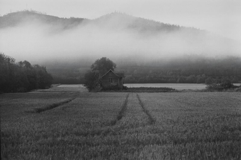 Farm