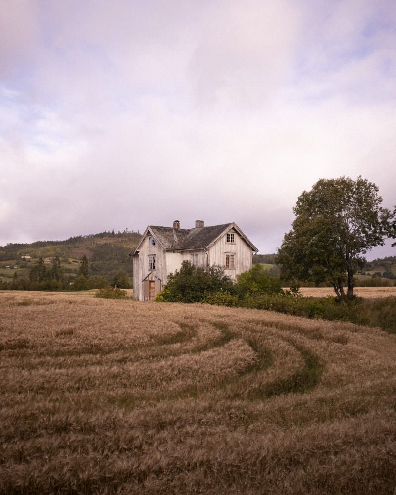 The farm