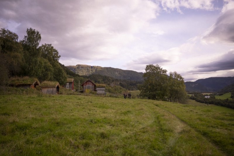 Landscape