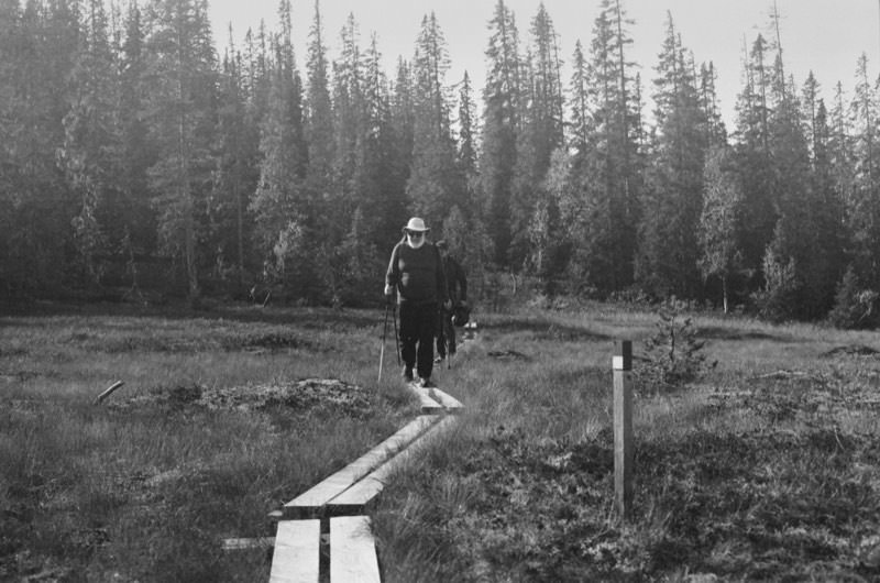 Swampy mountain path