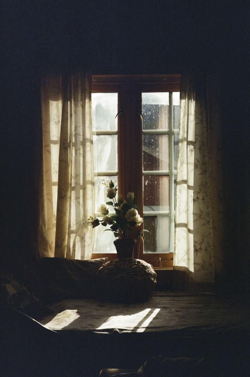 Window