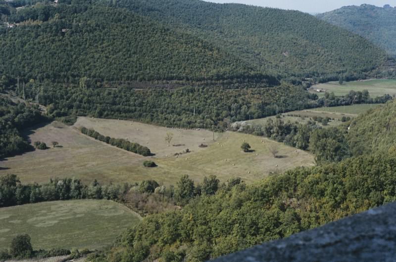 Fields below the castle