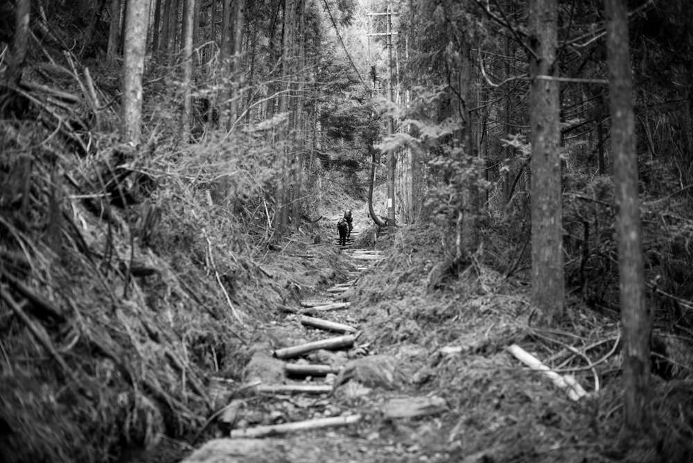 Walking near Mt. Koya