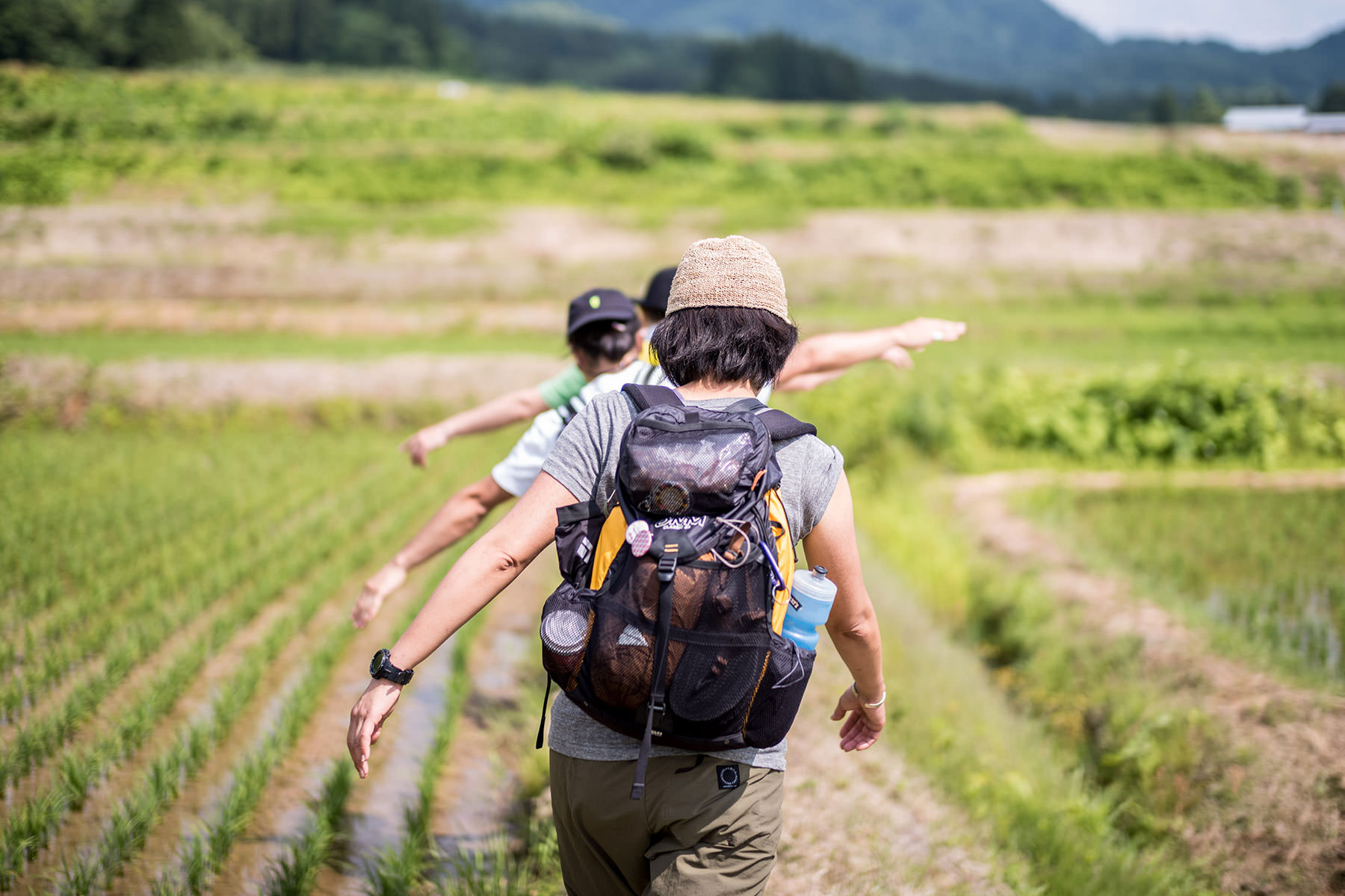 Rice paddy walking