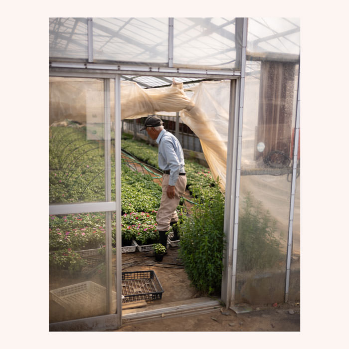 Farmer, hothouse