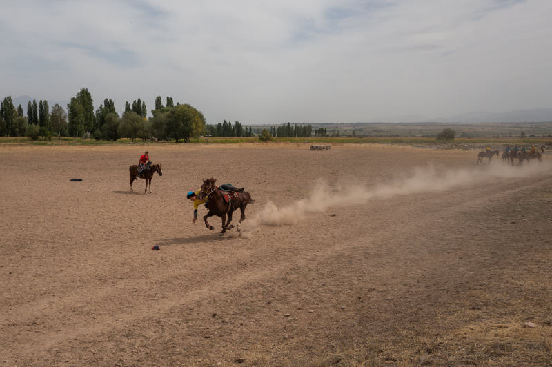 Kyrgyz horse performance