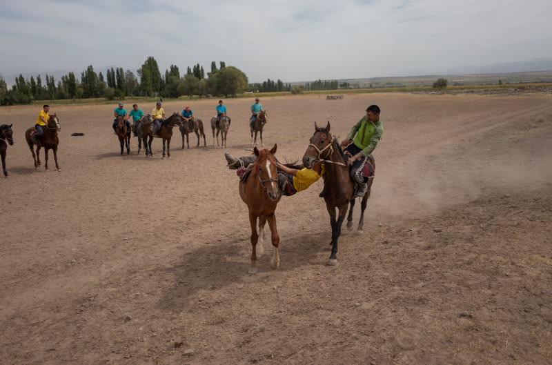 Kyrgyz horses