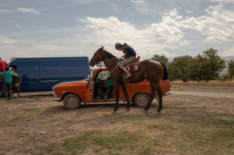 Kyrgyz horses