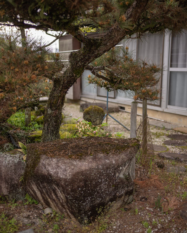 hanging rock garden