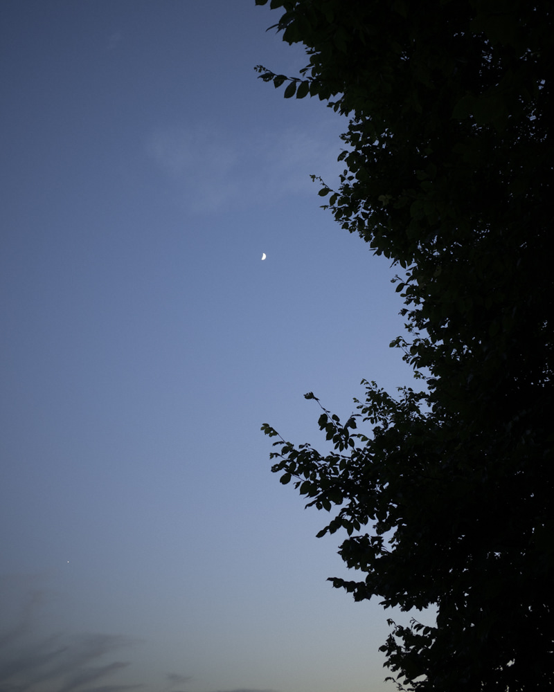 Prospect Park Sky on June 20th