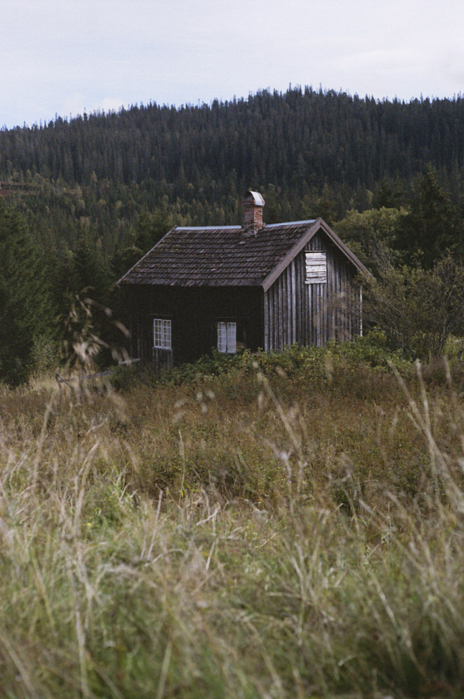 Weathered wooden cabin in tall grass below a forested hill